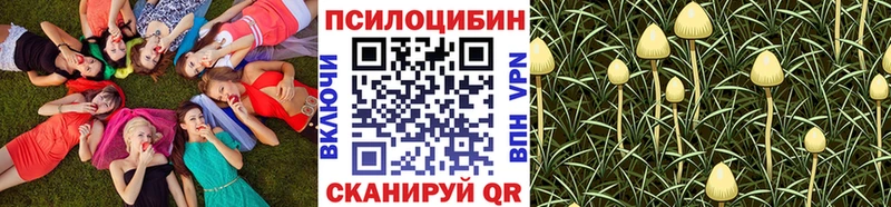 Псилоцибиновые грибы прущие грибы Лесозаводск